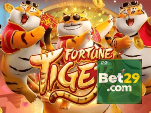 Guia install APK 29BET BR
